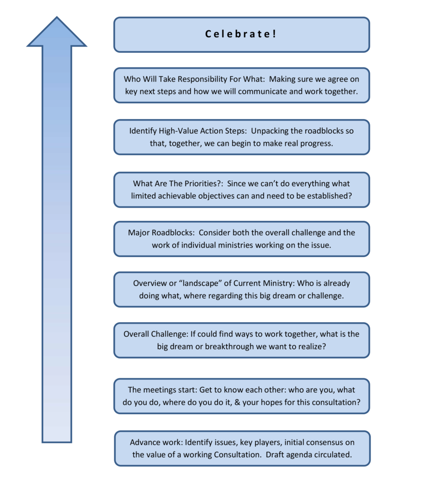 Forming a Network: Overview of Consultation Process